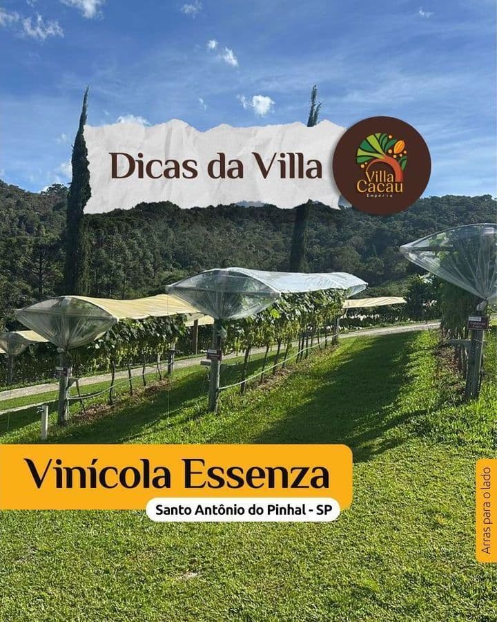 Villa Cacau Empório