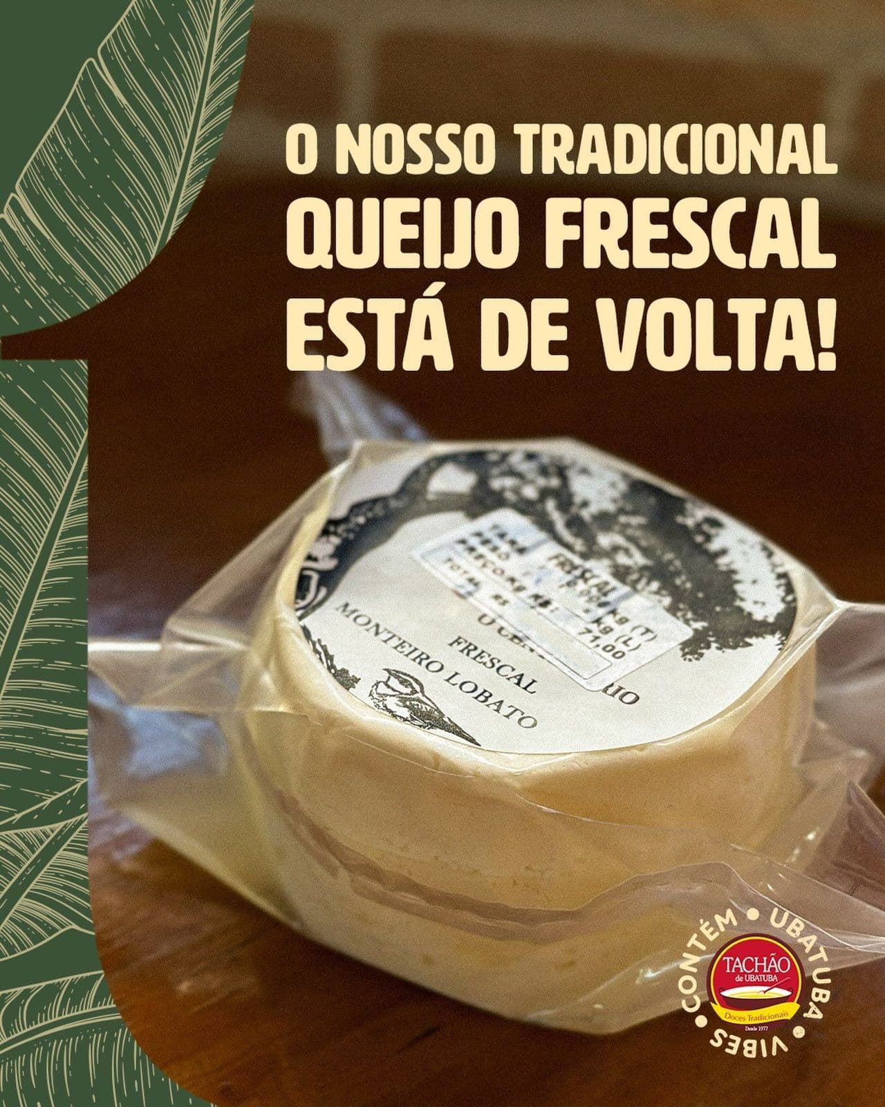 Tachão de Ubatuba