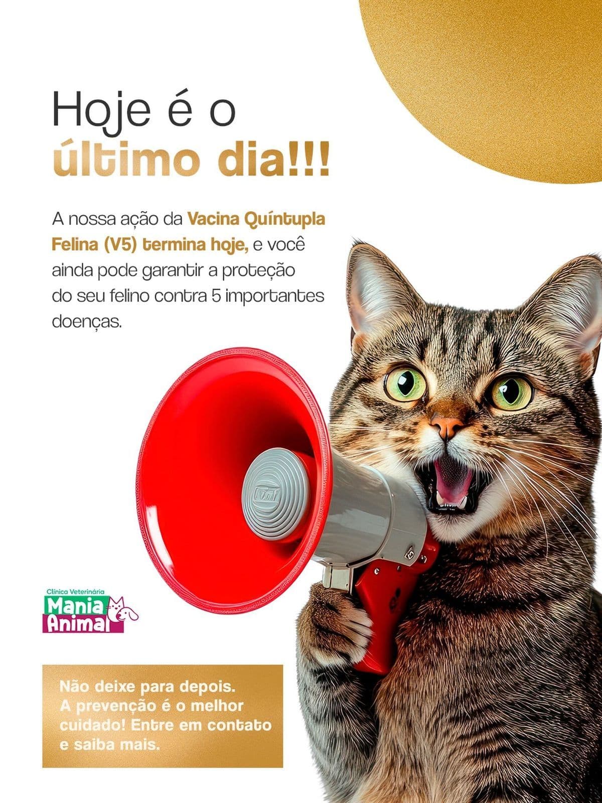 Clínica Veterinária Mania Animal