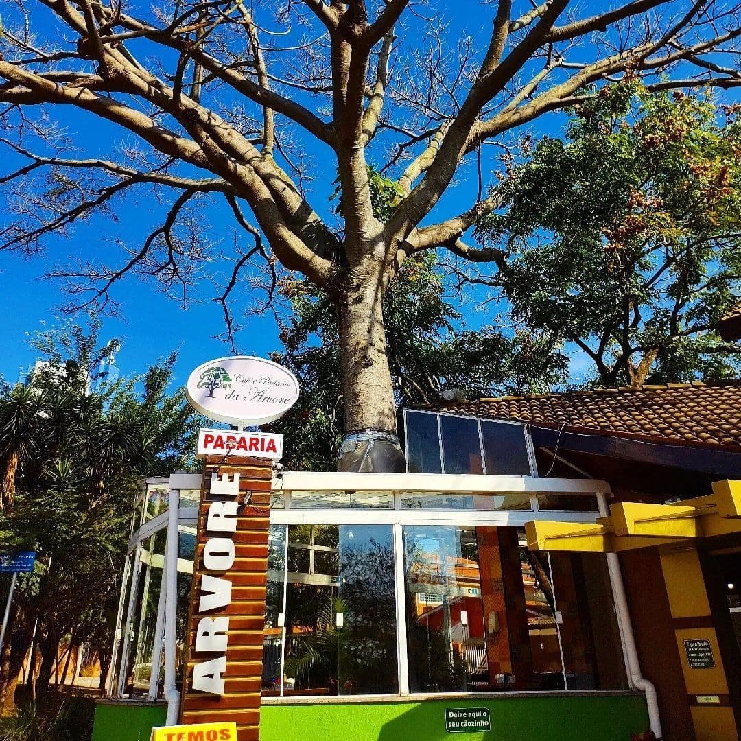 Café e Padaria da Árvore
