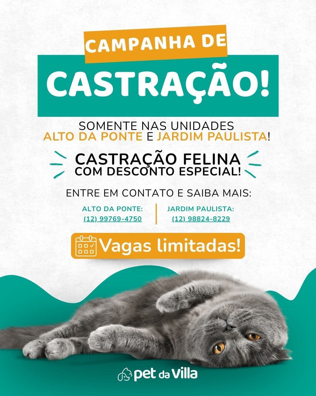 Pet da Villa - Alto da Ponte