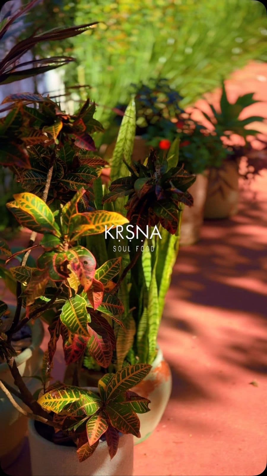 KRSNA Soul Food Restaurante Indiano