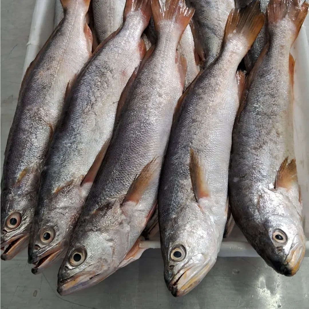 Peixaria Doce Mar