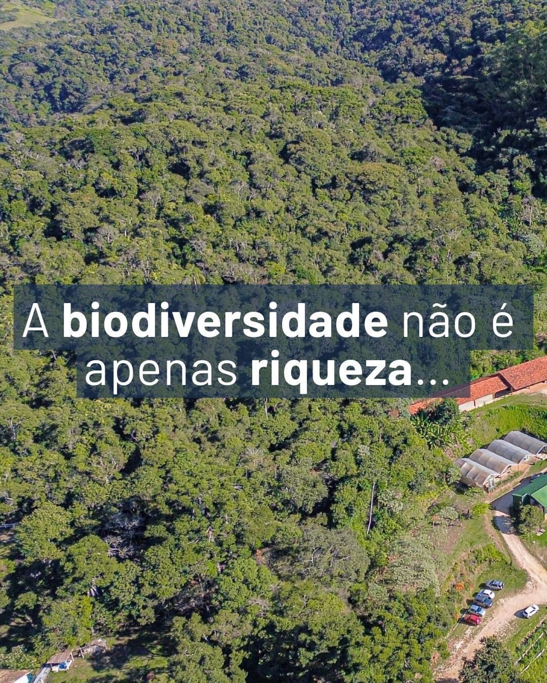 Espaço Sauá
