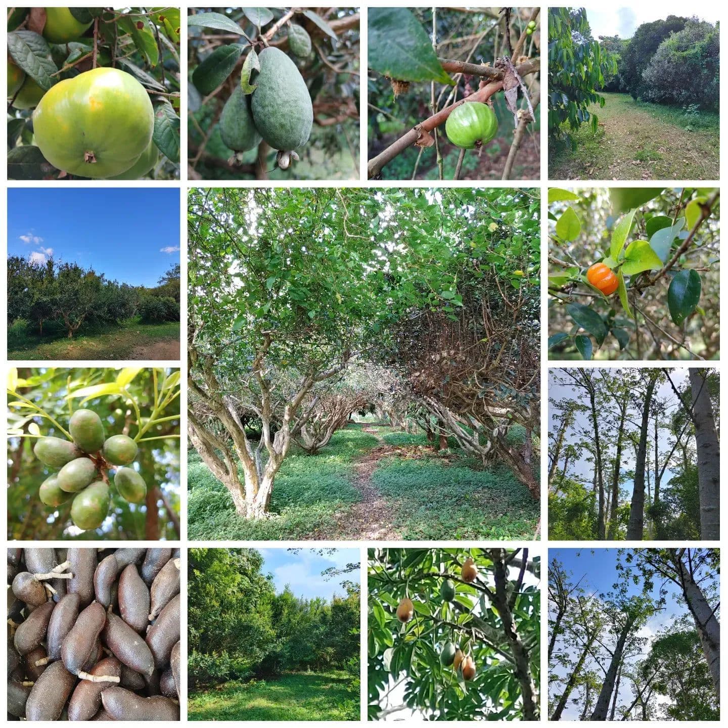 Sitio do Bello