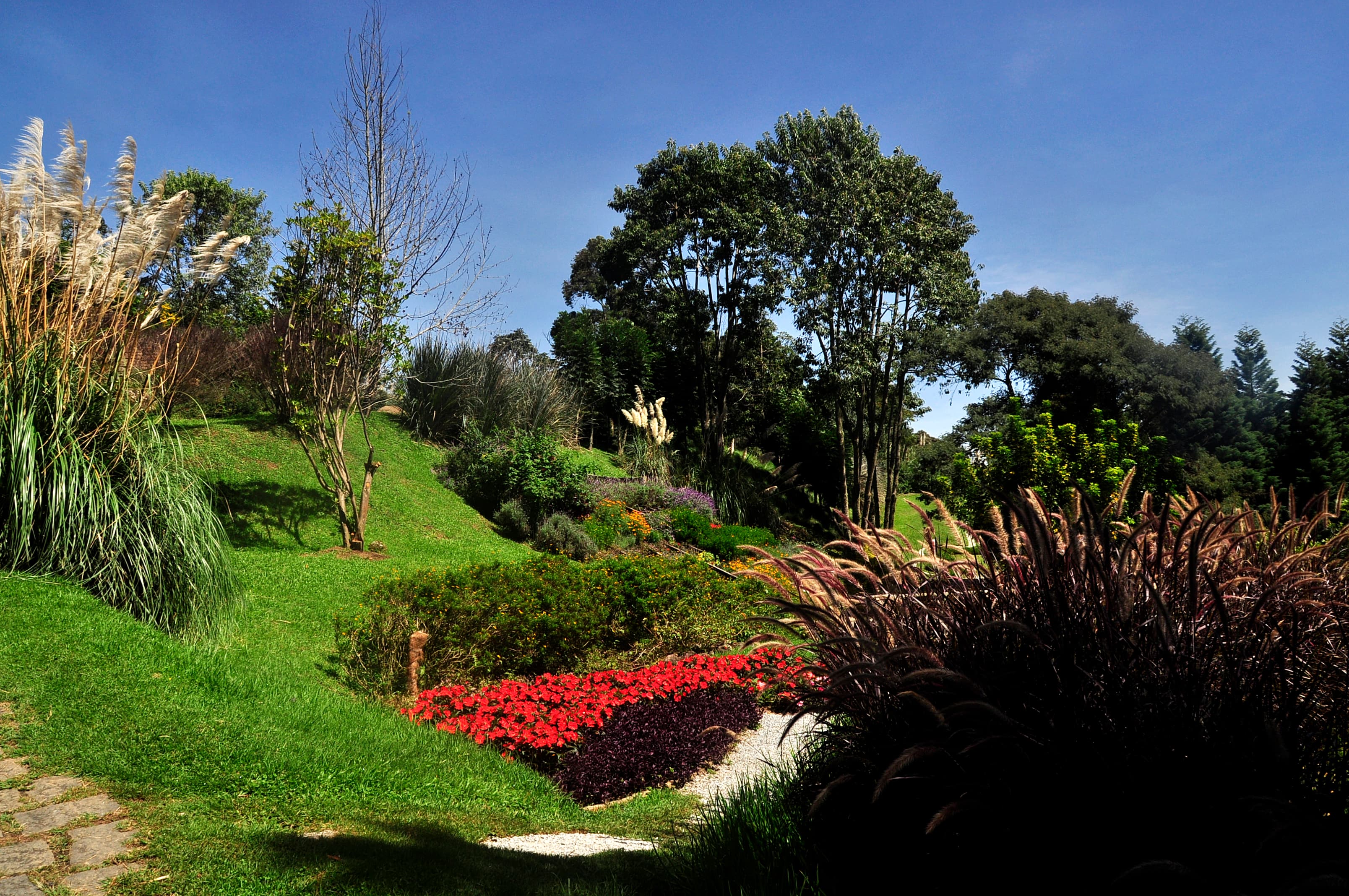 Patamares do Parque Amantikir