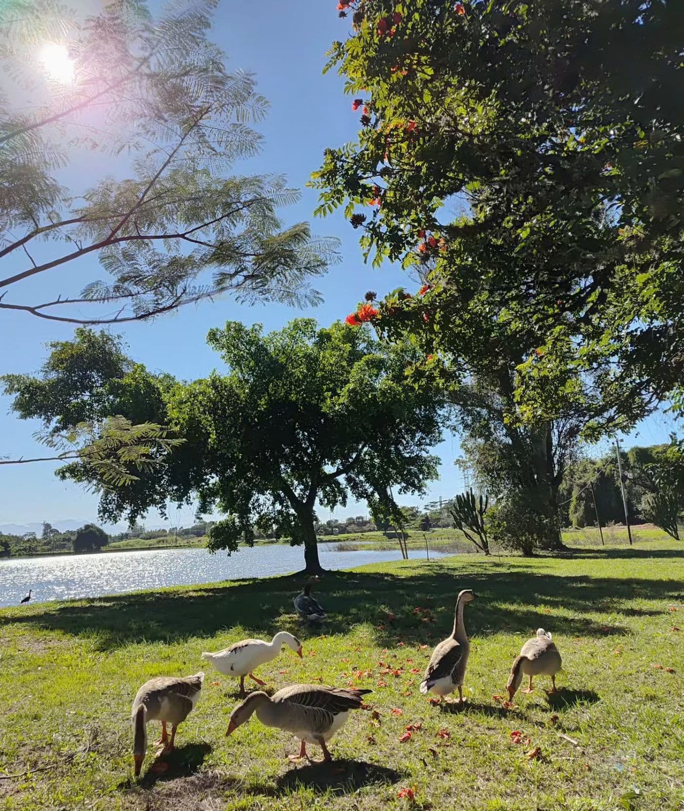 Hotel Resort e Golfe Clube dos 500