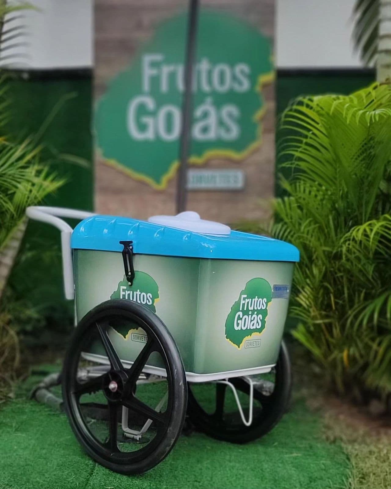 Frutos de Goiás Guaratinguetá