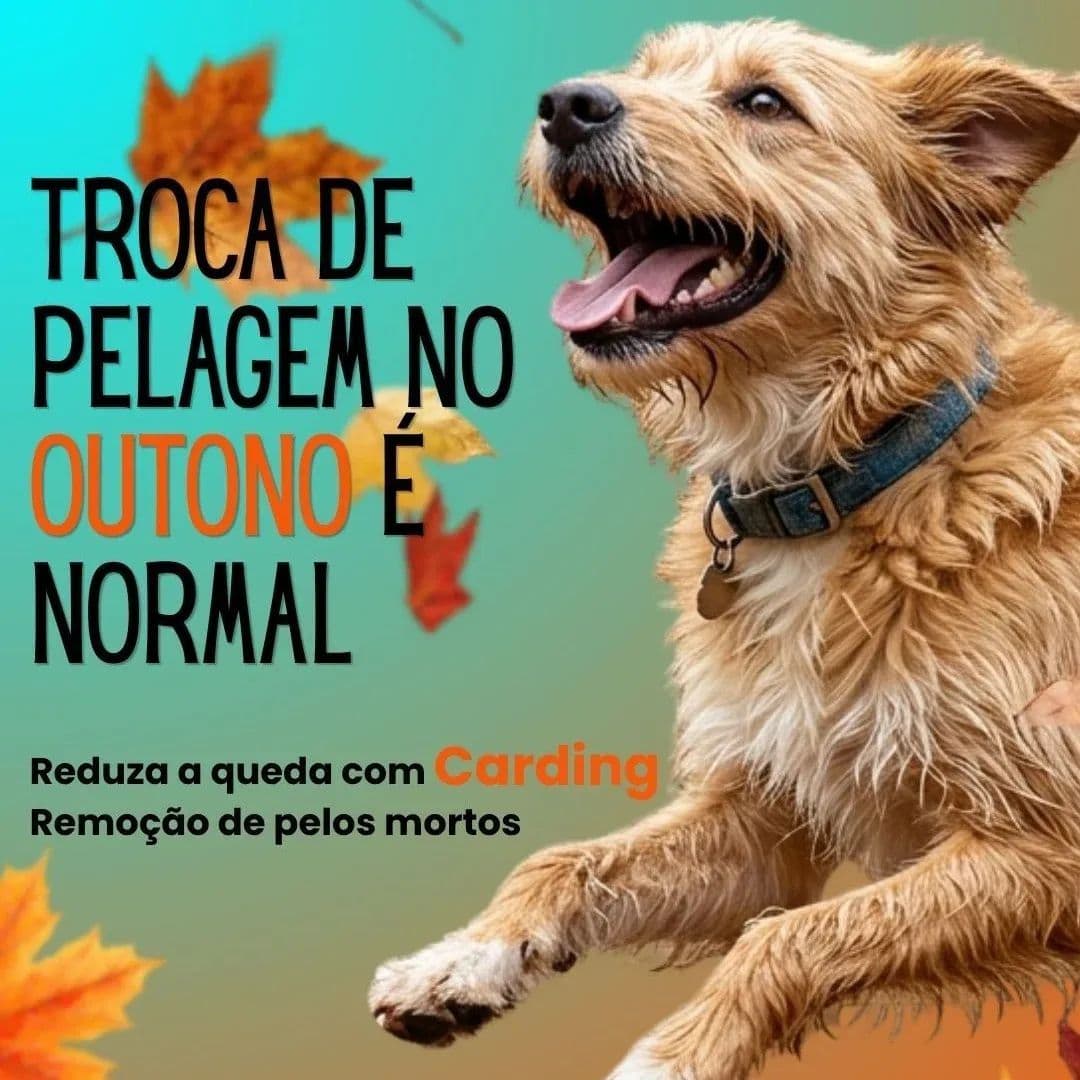 Petshop De Cabo a Rabo