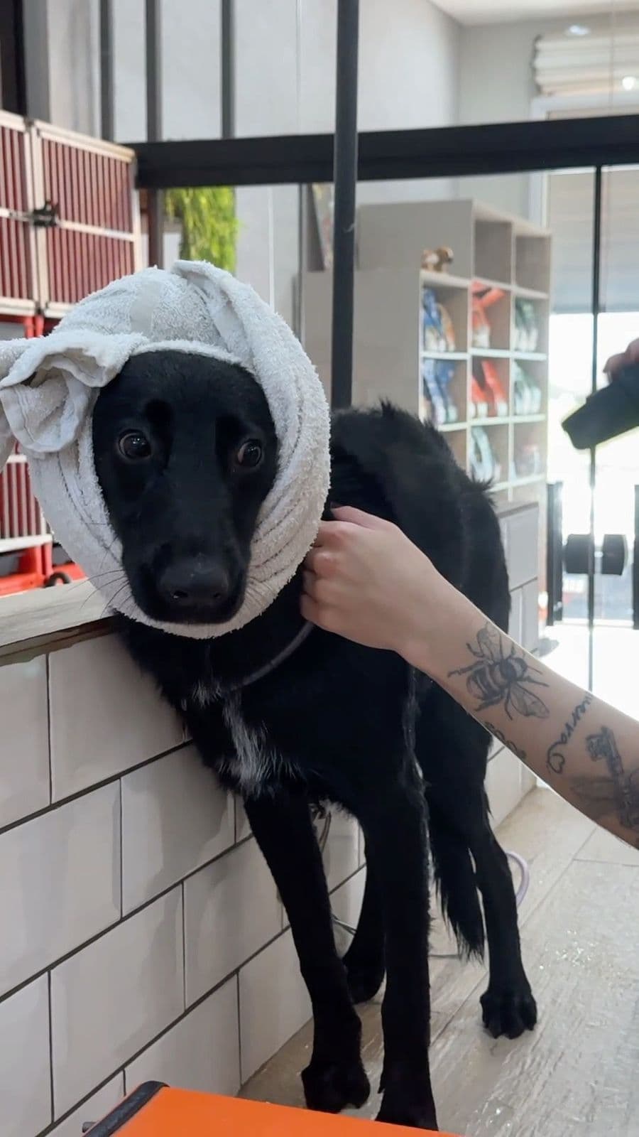 Top Pet Pet Shop
