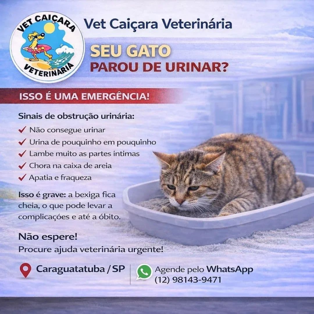 Vet Caiçara Veterinária