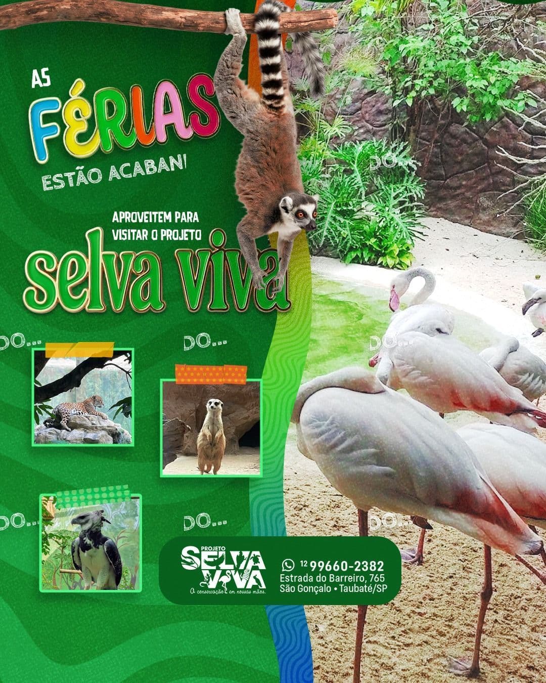 Projeto Selva Viva