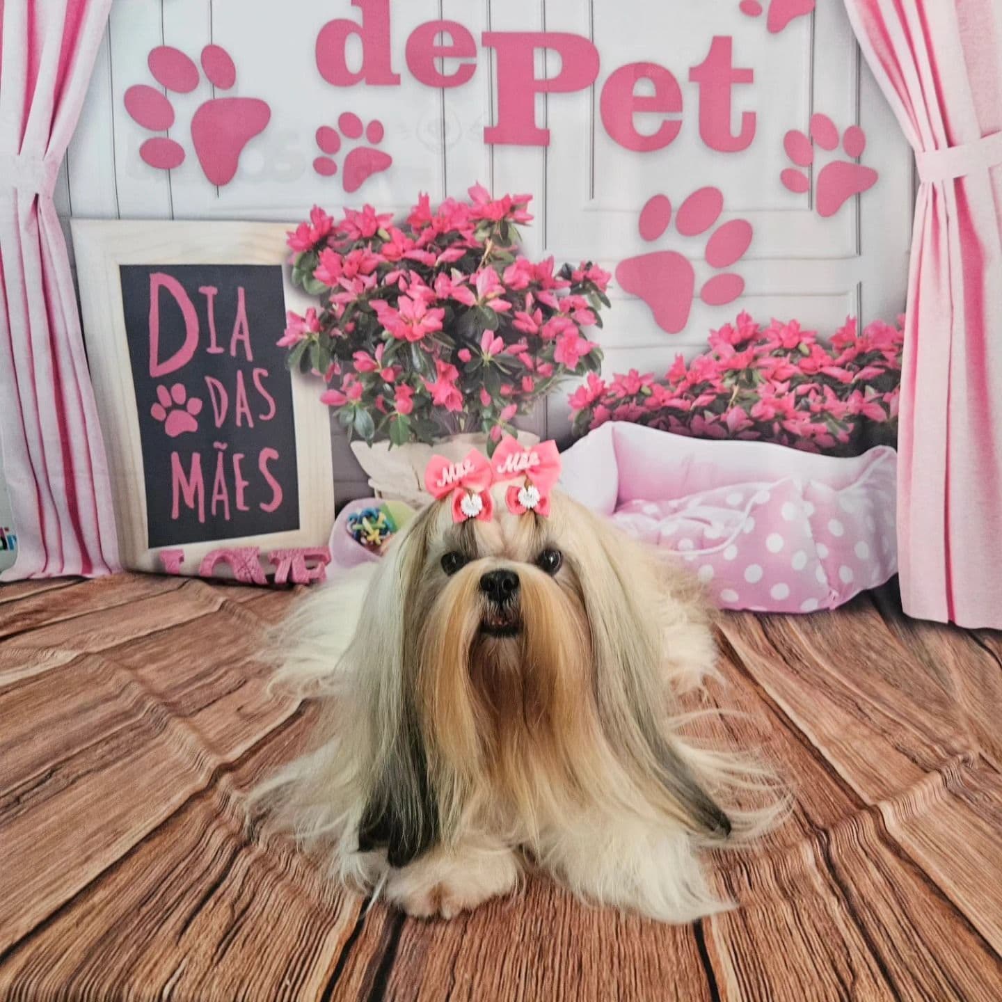 Só Bichos Pet Shop