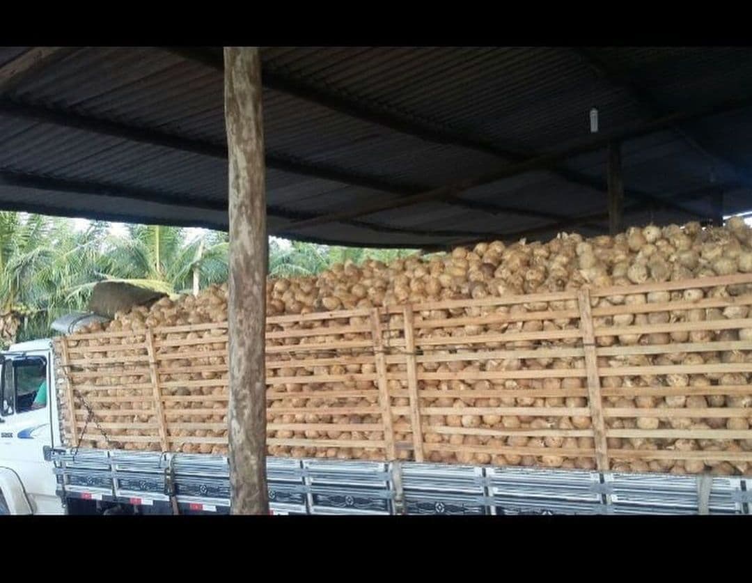 Casa do Coco