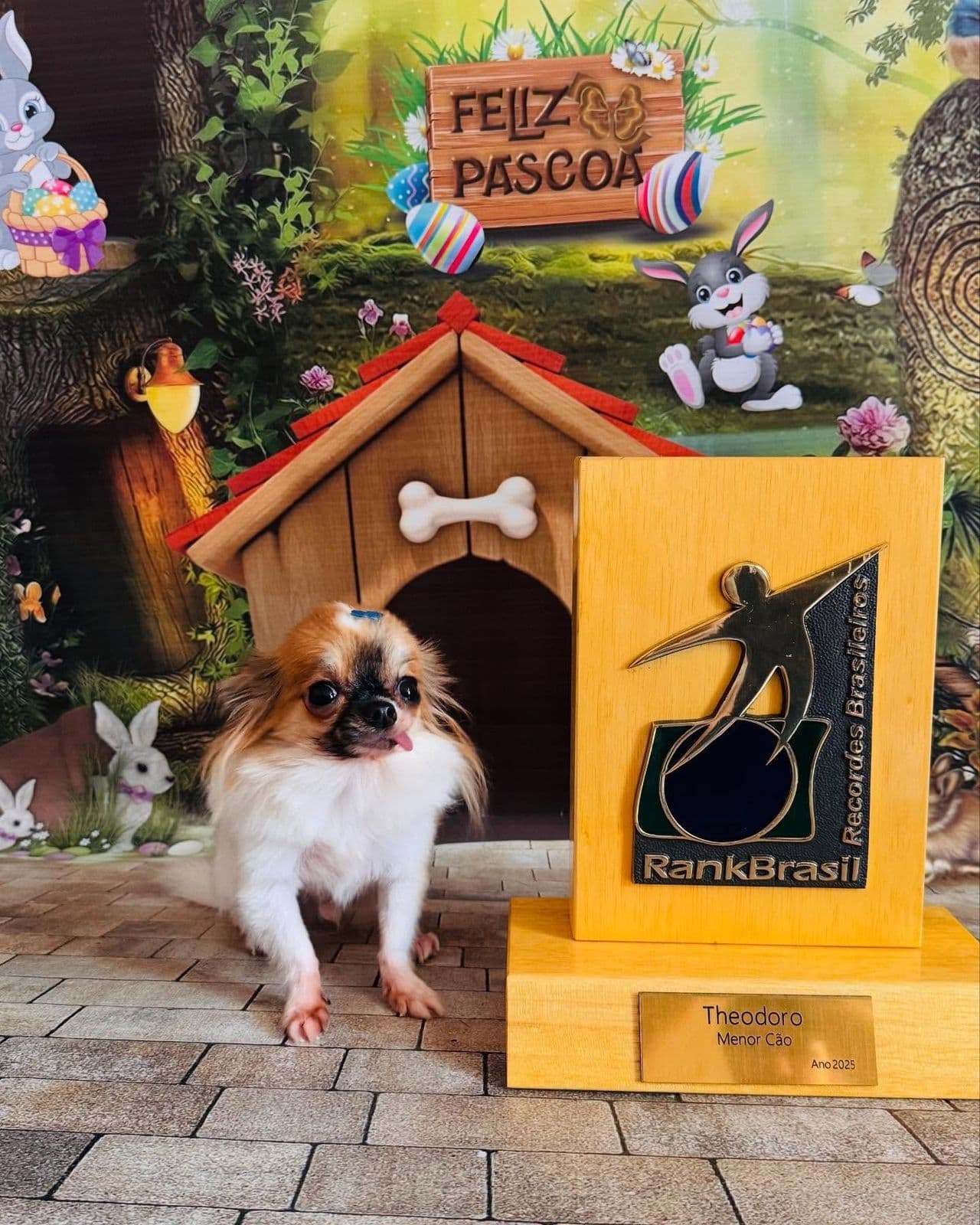 Mimos e Rabichos Pet Shop e Clínica Veterinária