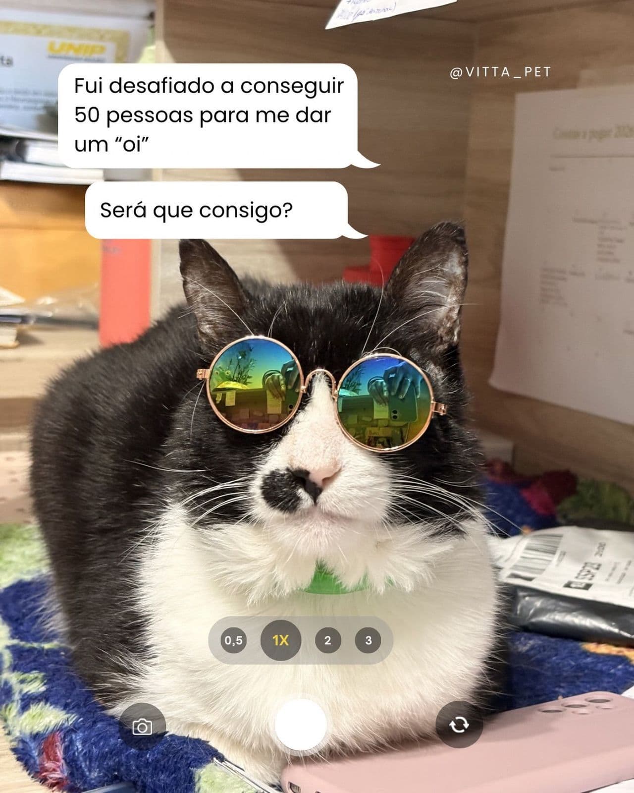 Vitta Pet