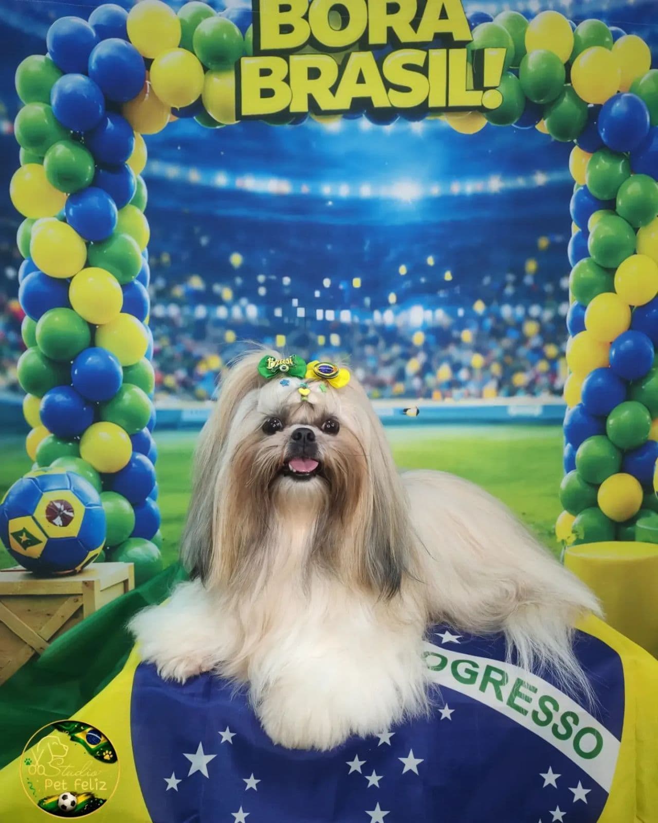 Banho e Tosa Pet Feliz
